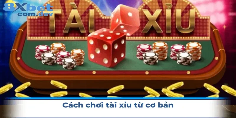 Cách chơi tài xỉu từ cơ bản dành cho người mới