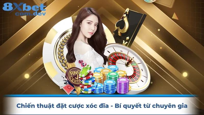 Chiến thuật đặt cược xóc đĩa - Bí quyết từ chuyên gia