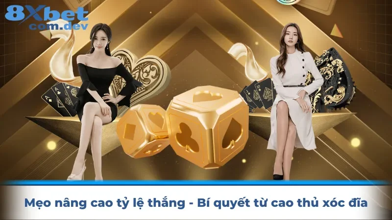 Mẹo nâng cao tỷ lệ thắng - Bí quyết từ cao thủ xóc đĩa